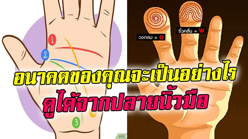 ดูดวงลายมือแม่นๆ เปิดดวงโชคลาภ เผยลักษณะนิสัยตัวตน จากปลายนิ้วมือ